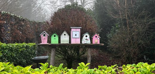 Kleine Vögelchen